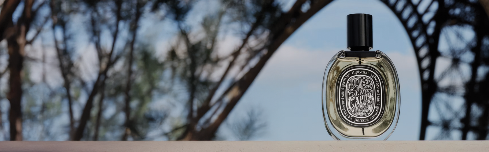 banner 7 sample